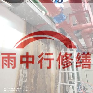 宁河某商业综合体地下室堵漏加固