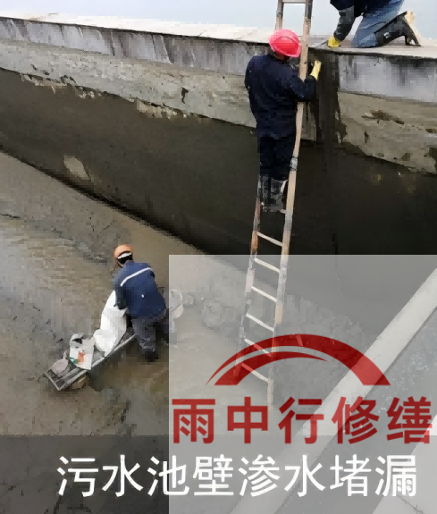 宁河2026年防水龙头半月两次涨价，行业格局重塑信号