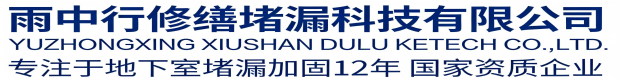 宁河雨中行科技防水堵漏工程有限公司